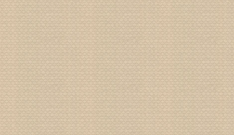 Обои виниловые Marburg Padua Classic 57327 10,05 x 1,06 м