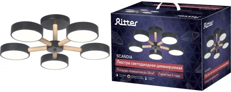 Потолочная люстра светодиодная на штанге с ДУ Ritter Scandia 51592 4