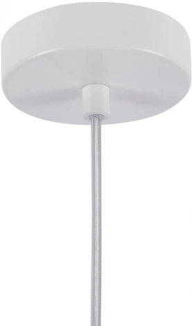 Подвесной светильник Favourite Alba 4101-1P (220V, на проводе, шар)