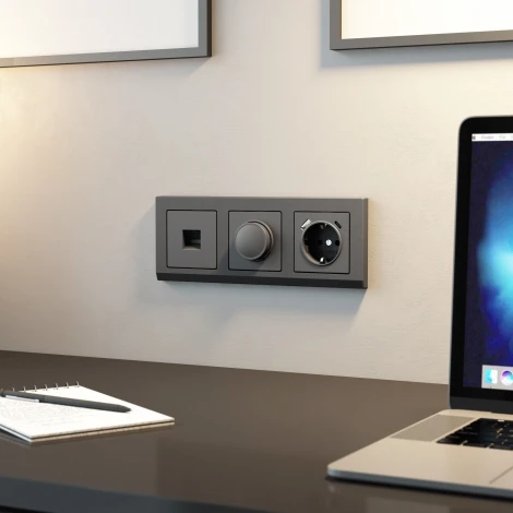 Диммер (графит матовый) Werkel W1142064 (a063110)