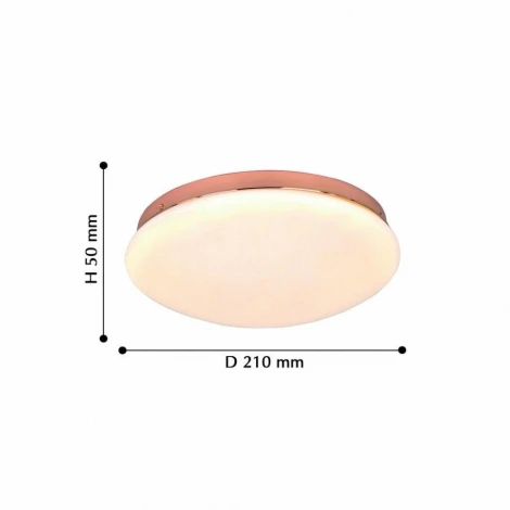 Потолочный светильник F-Promo Ledante 2465-2C