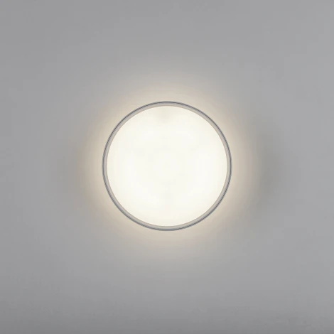 Накладной потолочный светильник Lightstar Acuto 215946 (LED, 220V, круглые)