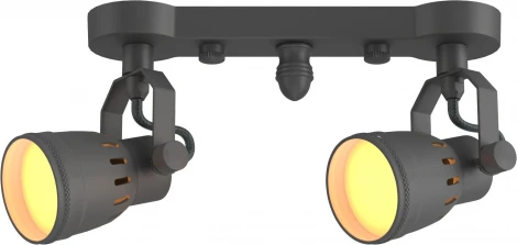 Спот Covali WL-30170 (220V)