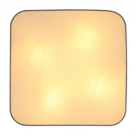 Потолочный светильник Paco 15185D8