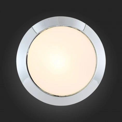 Настенно-потолочный светильник ST Luce Bagno SL469.502.01