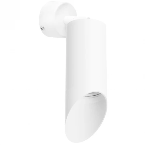 Накладной точечный светильник Lightstar Rullo RB43636 (220V, круглые)