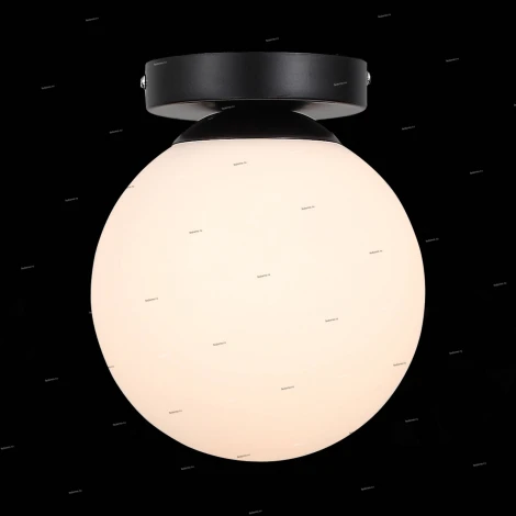 Настенно-потолочный светильник ST Luce Acini SL717.401.01