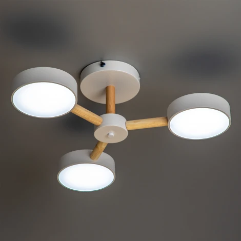 Потолочная люстра светодиодная на штанге с ДУ Ritter Scandia 51589 4