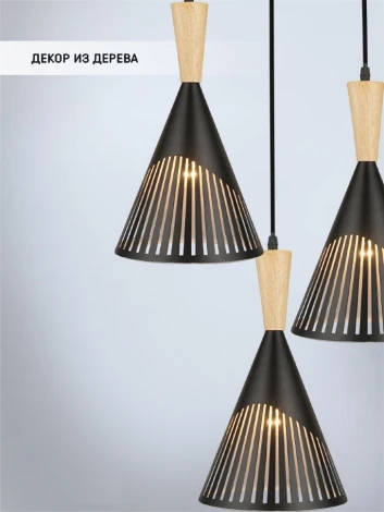 Подвесной светильник Wedo Light Adrien WD3603/3P-BK