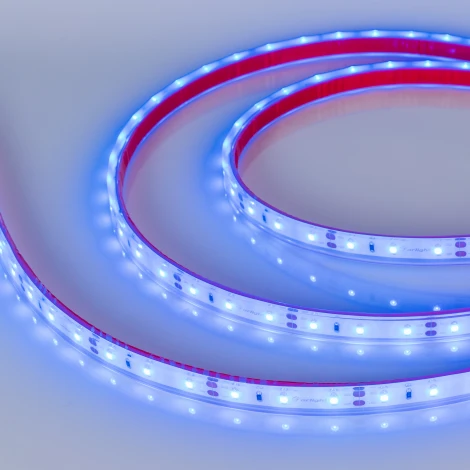 Светодиодная лента герметичная RTW-PFS-A60-11mm 12V Blue (4.8 W/m, IP68, 2835, 5m) (Arlight) 034012