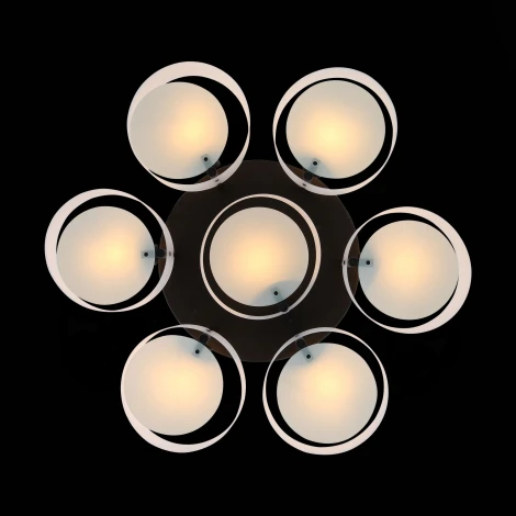 Потолочная люстра ST Luce Foresta SL483.402.07