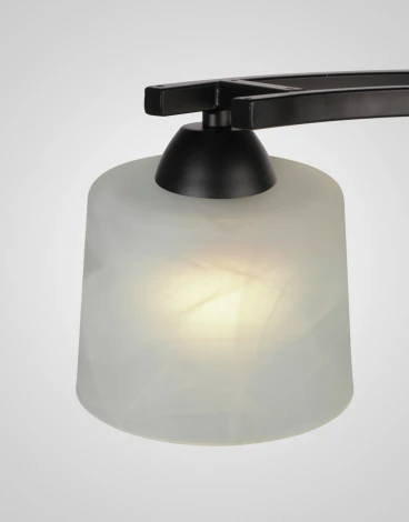 Потолочная люстра на штанге Мелодия Света 000061926