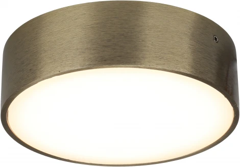 Потолочный светильник круглый Aployt Evon APL.0113.29.12 (LED, 220V, круглые)