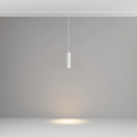 Трековый подвесной светильник Focus Led Exility 3000K 12Вт 36° (магнитный) Maytoni Technical TR041-2-12W3K-W (48V, круглые)