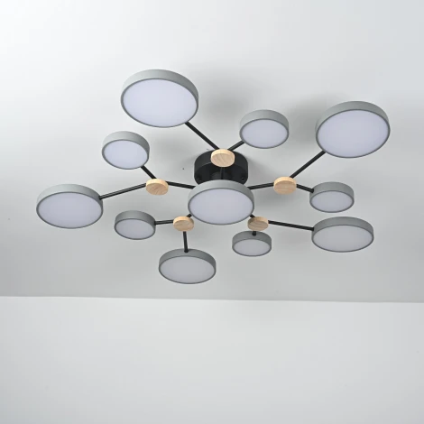 Потолочная люстра с пультом на штанге LED Lu Carte LC-11-1719