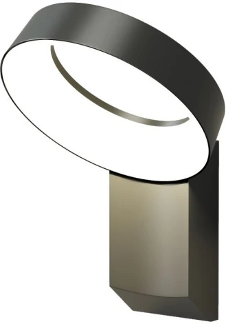 Настенный светодиодный уличный светильник Denkirs Sanvik DK9712-BK (220V, IP65)