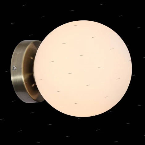 Настенно-потолочный светильник ST Luce Acini SL717.301.01