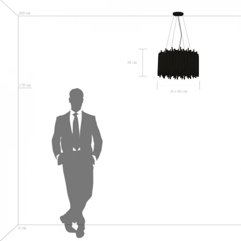 Подвесная люстра Lightstar Savona 816102 (220V, на тросе, круглые)