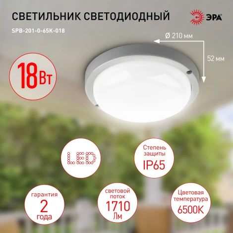Настенно-потолочный светильник светодиодный ЭРА SPB-201-0-65K-018 (220V, круглые, IP65)