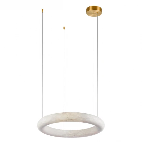 Подвесной светильник светодиодный кольцо Loft It Oslo 10407/600 (220V, на тросе, кольцо)