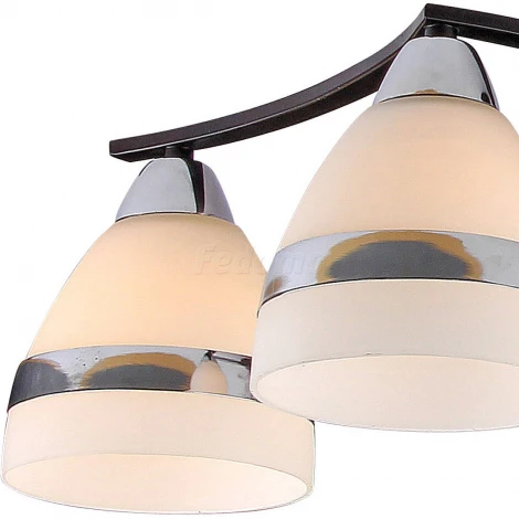 Потолочная люстра Silver Light Enigma 227.59.6