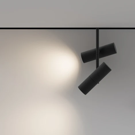 Трековый светильник магнитный 48V Maytoni Elti Duo TR005-2-2X12W3K-B (LED, круглые)