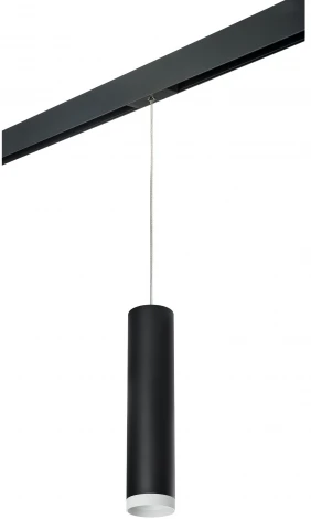 Трековый светильник однофазный 220V Lightstar Rullo PRORP4973436 (круглые)