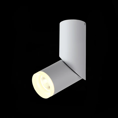 Спот ST Luce Tortelle ST107.502.10