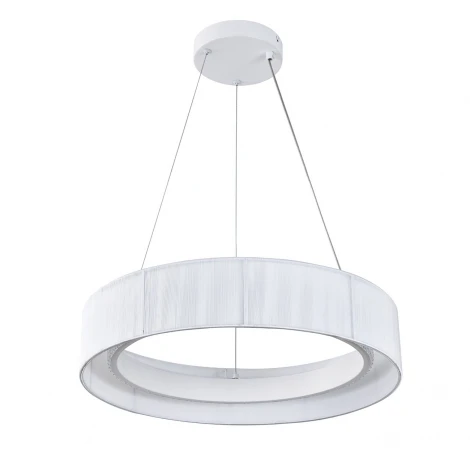 Подвесной светильник светодиодный с пультом и ночным режимом Indigo Luminosa V000209L (13041/B/1P White)