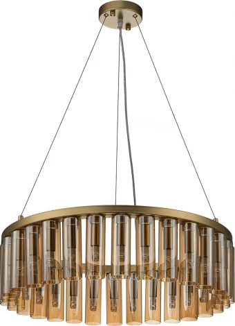 Подвесная люстра Favourite Slang 4503-30P (220V, на тросе, круглые)