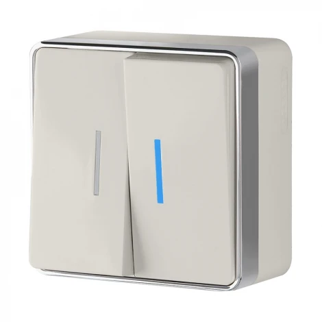 Выключатель двухклавишный с подсветкой Gallant (слоновая кость) Werkel W5020103 (a051550)