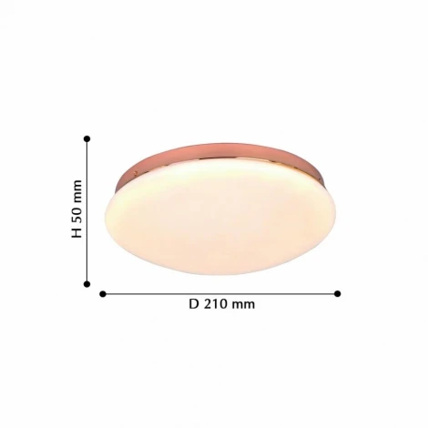 Потолочный светильник F-Promo Ledante 2465-2C