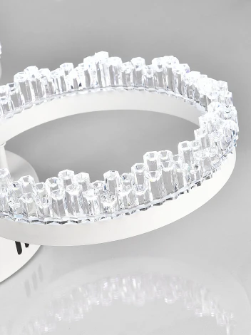 Потолочная люстра светодиодная Natali Kovaltseva Day LED LAMPS 81483 (регулировка яркости, 220V, пульт управления, кольцо)