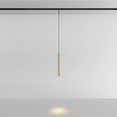 Трековый светильник магнитный 3W 24V Maytoni Skim TR191-1-3W3K-M-BBS (LED, круглые)