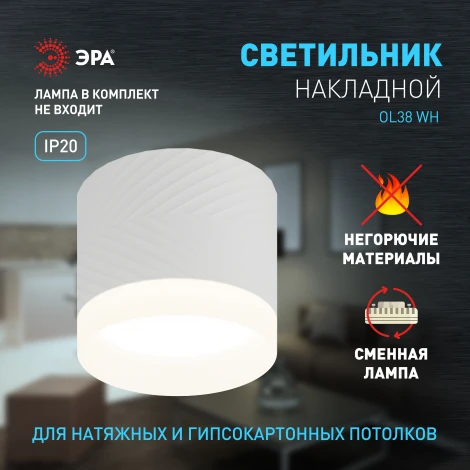 Точечный светильник ЭРА OL38 WH (220V)