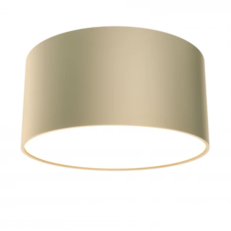 Потолочный светильник Zon 4000K 1x12Вт 120° LED Maytoni Technical C032CL-L12MG4K