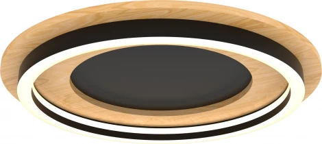 Потолочный светодиодный светильник круглый Lightstar Lodi 723017 (круглые)