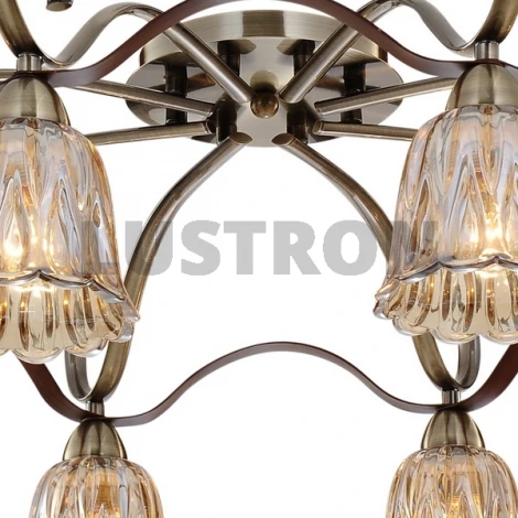 Потолочная люстра ST Luce SL324 SL324.302.08