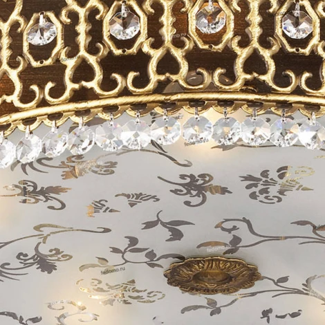 Потолочный светильник Odeon Light Salona 2641/5C