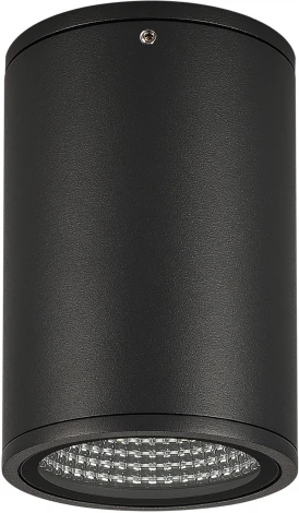 Уличный потолочный светильник светодиодный защищенный LGD-FORMA-SURFACE-R90-12W Day4000 (BK, 44 deg, 230V) (Arlight, IP54 Металл) 037260