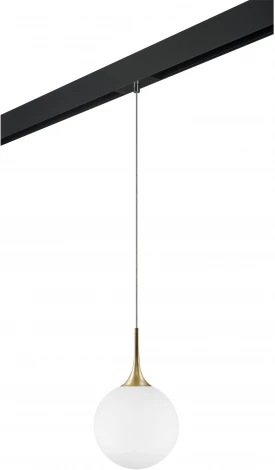 Трековый светильник однофазный 220V Lightstar Globo PRO813032