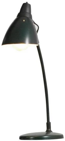 Интерьерная настольная лампа Lussole Wienna LST-4444-01