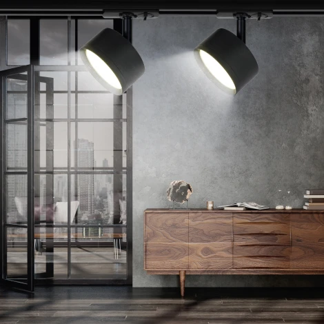 Трековый светильник ЭРА TR48 - GX53 BK (220V, круглые)