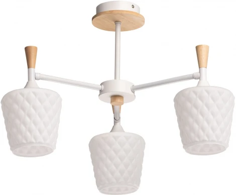 Потолочная люстра на штанге DeMarkt Дэла 635015003 (220V)