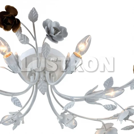 Потолочная люстра Arte Lamp Rosarium A1196PL-6WG