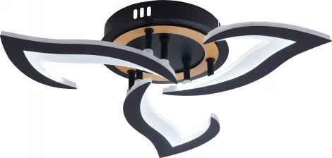 Потолочная люстра светодиодная Rivoli Cassandra 6194-703 LED 3000-6250К 42 Вт с пультом