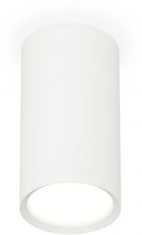 Накладной точечный светильник Ambrella Techno Spot XS8161001 (220V, круглые)