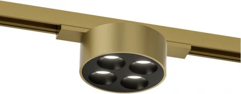 Трековый светильник для магнитного шинопровода Denkirs Shine Grill DK5772-SB 48V 6W сатинированная латунь (LED, круглые)