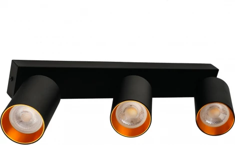 Потолочный светильник спот Brizzi Aras BR08090