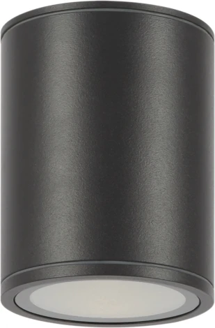 Потолочный светильник уличный Bar O306CL-L12GF (LED, 220V, круглые, IP65)